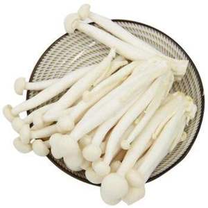 Boîte <span class=keywords><strong>de</strong></span> stérilisation à vapeur pour champignons et autoclave horizontal pour favoriser la croissance du <span class=keywords><strong>substrat</strong></span> <span class=keywords><strong>de</strong></span> champignons - Product Image 4