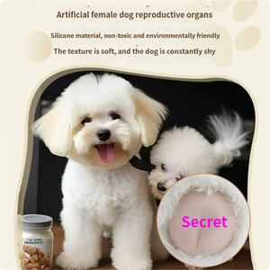 Premium Milieuvriendelijke Siliconen Cartoon Mannelijke Hond Speelgoed Lichaam-Veilig En Herbruikbaar Helpt Kalm En Trainingshonden - Product Image 3