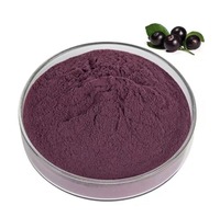 Blauwe bessen extract anthocyanen poeder natuurlijk plantenextract grondstof
