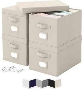 Luxury Foldable Clothing Storage Box 35L PP/PVC Bin Organizer for Wardrobe Customizable Design with 5kg Load Capacity