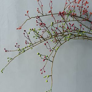 Branche de fruits artificielle Yunxi rouge, verte, orange en plastique pour décorations de fêtes, maison, salle d'exposition, restaurant - Product Image 2
