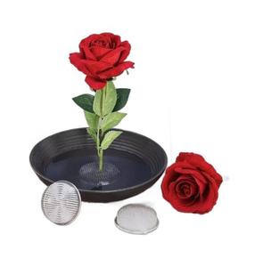 <span class=keywords><strong>Horticole</strong></span> Transparent épée montagne fleur arrangeur trois ventouse Clip Base en <span class=keywords><strong>plastique</strong></span> nouveauté et créative décoration de la maison - Product Image 2