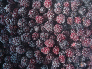 Nuova Raccolta di Brombrey Congelati IQF, Frutta Intera Congelata per Frullati, Dolci, Succhi e Bevande, Vendita Diretta all'Ingrosso - Product Image 2