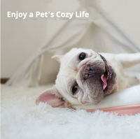 Couverture douce et moelleuse pour animaux de compagnie, tapis en fausse fourrure à poils longs pour chien et chat, couverture chaude pour canapé et lit, lavable et respirante