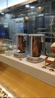 Grill vertical rotatif sans fumée pour shawarma, canard rôti, poulet, équipement de cuisson commercial et domestique, machine à brochettes en acier inoxydable