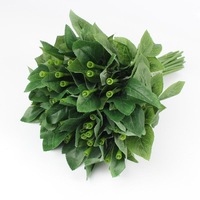 Tiges de roses artificielles en fil plastique, accessoires de branches florales avec feuilles pour mariages et Saint-Valentin, fleurs en mousse