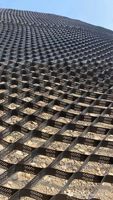 Géocell en HDPE personnalisable pour mur de soutènement |   Spécifications multiples, hauteur, espacement de soudure, couleur disponible sur demande