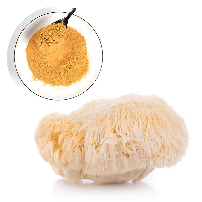 Private Label estratto di funghi a base di erbe di alta qualità in polvere-USDA Organic - Lions Mane, Reishi, Cordyceps, Chaga, coda di tacchino