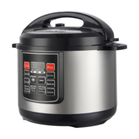 Cuisinière à pression multifonction électrique 12L en acier inoxydable, prix d'usine en promotion, cuiseur à riz