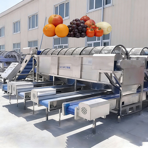 Máquina Electrónica Clasificadora <span class=keywords><strong>de</strong></span> Frutas y Verduras para Manzanas, Tomates y <span class=keywords><strong>Naranjas</strong></span> con Motor como Componente Principal - Product Image 6