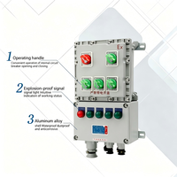 Boîtier de distribution d'énergie antidéflagrant pour l'industrie chimique et minière (ATEX) - Qualité industrielle 220V/380V 16A, construction en acier, fabriqué en Chine