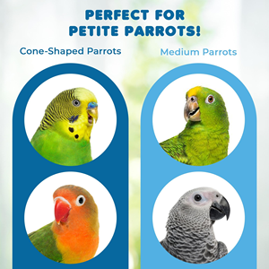 Jouets à mâcher pour oiseaux en bois naturel, blocs pour animaux de compagnie, jouets pour perroquets, jouets à mordre pour oiseaux en cage - Product Image 5
