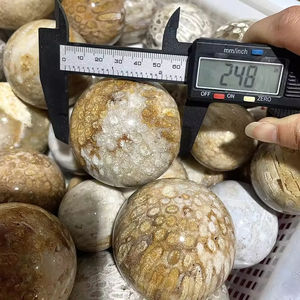 Esfera de Coral Fósil Natural Pulido al por Mayor, Piedra de Cristal Curativa para Decoración del Hogar y Regalos - Product Image 2