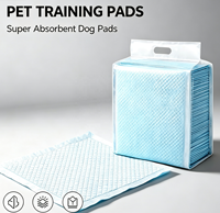 Tapis d'apprentissage de la propreté pour chiens jetables, écologiques, respirants, personnalisés, de qualité supérieure, à forte capacité d'absorption d'eau, pour animaux domestiques
