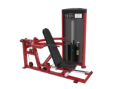 Équipement de fitness de gymnastique commerciale Machines de gymnastique d'entraînement musculaire multi Deltoïde arrière/mouche pectorale
