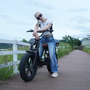 Phare de vélo électrique à double suspension résistant à la corrosion Vélo électrique pour adultes Randonnée hivernale - Product Image 4