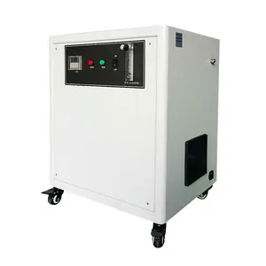 10L 20LPM Ozone Generator Gas Oxygen Generation Equipment For Restaurants Farms Hotels With 1-Year Warranty