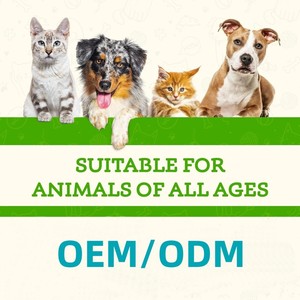 Lage minimale bestelhoeveelheid Cognitie Hersenen Gezondheid Hondenvitamines Poeder voor alle rassen Huisdier Supplementen en Vitaminen Snelle Verzending - Product Image 3