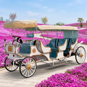 Calèche électrique de tourisme haut de gamme à trois rangées, conçue pour le confort et la fiabilité lors des excursions - Product Image 1