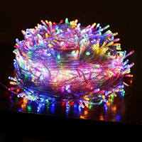 Vente en gros de lumières LED de Noël d'extérieur avec indice d'étanchéité IP44, Ra80, dimmables, lumières décoratives pour la décoration de jardin