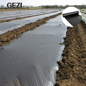 Film de paillage agricole non tissé biodégradable <span class=keywords><strong>noir</strong></span> 30 microns pour la plantation de l'<span class=keywords><strong>ail</strong></span> et de l'ananas - Product Image 6