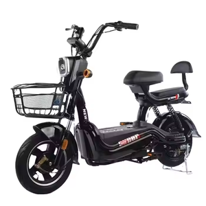 Vélo électrique durable pratique 750w 48/60v pour les voitures électriques de tourisme de cargaison de loisirs de forme physique - Product Image 6