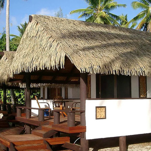 Lá Cọ tổng hợp lá cọ - Product Image 6