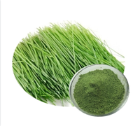 Poudre de jus de blé vert 100% naturelle, poudre d'herbe d'orge, aliments fonctionnels, boissons solides, compléments alimentaires, additifs alimentaires.