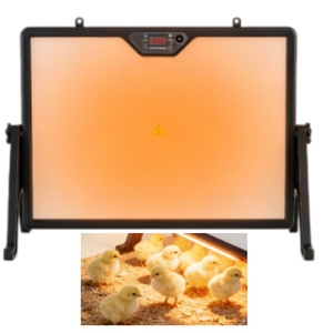 Lámpara de calor de doble cara para aves de corral, placa calefactora para pollitos, equipo calentador para crías de aves, calentador para animales - Product Image 5