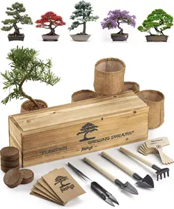 분재 나무 키트 5x 독특한 일본 분재 나무 도구 재배자와 함께 성장하는 식물을위한 완벽한 실내 스타터 키트