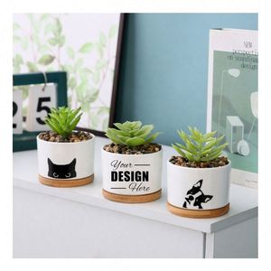 Ensemble de pots à plantes succulentes personnalisés et mignons avec plateau en bambou - Cadeaux en céramique pour les femmes, les enseignantes, les anniversaires, les remises de diplômes - Product Image 1
