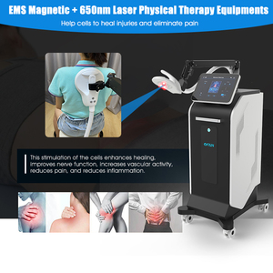 <strong>Magnetic</strong> Field <strong>Therapy</strong> Pemf Device Human Horse Health Care Machine for Pain Relief Bones Repair <strong>Physiotherapy</strong> Machine - Product Image 2