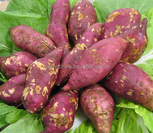 Chips de pommes de terre frites épluchage coupe nettoyage blanchiment friture machine pour usine de traitement de pommes de terre - Product Image 6