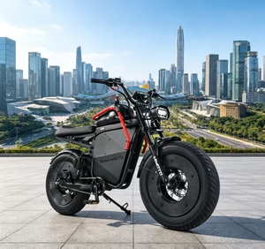 จักรยานความเร็วสูงแบบซิงเกิลสปีด มอเตอร์ฮับหลังแบบไร้แปรงถ่าน 500w ล้อขนาด 20 นิ้ว แบตเตอรี่ลิเธียม 13ah ระยะทาง 60 กม. รุ่น X11 กำลังสูง - Product Image 1