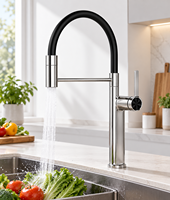 Robinet de cuisine en alliage de zinc noir mat avec douchette extractible, flexible et rotative à 360 degrés, pour évier de cuisine à montage sur comptoir