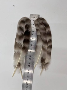 ขน<span class=keywords><strong>ไก่</strong></span>ชินชิลล่าธรรมชาติขนาด 15-20 ซม. ขน<span class=keywords><strong>ปีก</strong></span><span class=keywords><strong>ไก่</strong></span>สำหรับงาน DIY การแสดง ตกแต่ง ขายส่ง - Product Image 6