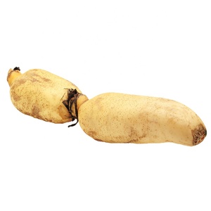 Cinese Radice di Loto Verdura 20 kg di Cartone di Vendita Caldo - Product Image 3