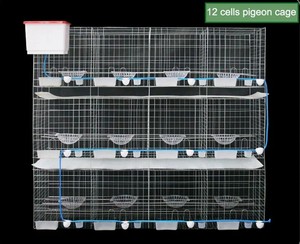 BAIYI <strong>cages</strong> for sale steel superior <strong>fancy</strong> <strong>cages</strong> racing <strong>pigeon</strong> breeding the new type  4 <strong>layer</strong> <strong>pigeon</strong> cage nipple for - Product Image 4