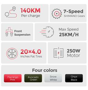Bicicletta Elettrica da Montagna 2025 con Telaio in Lega di Alluminio, Motore Posteriore da 48V 250W, Autonomia di 140Km, Bici Elettrica da Città per Adulti, Fat E-Bike da 20 Pollici - Product Image 2