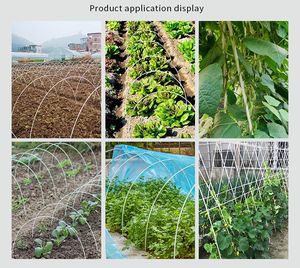 Groothandel flexibele landbouwkassen glasvezelstokken stevige tuinpalen hekpaal zware plantenstok - Product Image 2