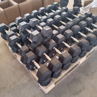 Haltère hexagonal en caoutchouc pour entraînement de musculation, haltère en fonte pour la maison, haltère hexagonal de fitness