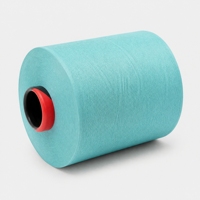 Durable High Tenacity Nylon Solid Color Yarn, Pre Dyed Colored Spun Yarn, Fade Resistant Polyamide Yarn for Hosiery