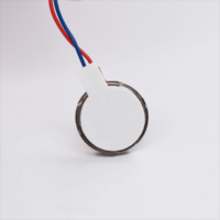 Getaran Mini 1030 Motor DC jenis koin 3v 10mm ketebalan 3.0mm Motor Pancake