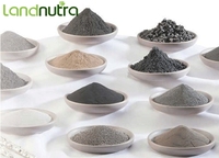 Factory Price High Purity Food Sports Supplement Iron Powder Liposomal Iron Powder