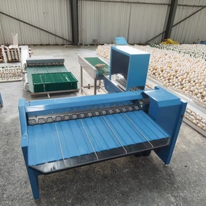 Chicken Egg Sorting Machine Egg Weight Grading Machine Egg Grading Machine Auto - Product Image 6