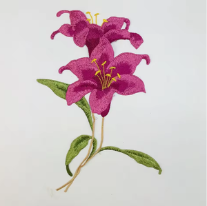 Machine à broder et à coudre domestique 45W, point noué, pied marcheur, platine plate, <span class=keywords><strong>aiguille</strong></span> simple, neuve 220V - Product Image 3