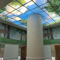 Plafonnier commercial Sky Panel Light 40W, design nuage bleu, sans scintillement, pour centre commercial, hôtel, restaurant, éclairage décoratif