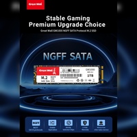قرص صلب داخلي Great Wall GW1000 M.2 2280 PCIe SSD بتقنية 3D NAND TLC عالي السرعة 550 ميجابايت/ثانية سعة 2 تيرابايت للحواسيب المحمولة مع ضمان 5 سنوات ومعتمد من EMC وFCC وROHS