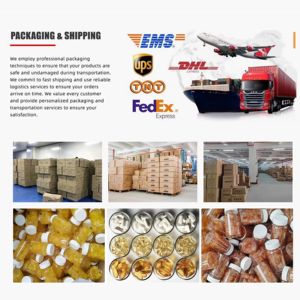 OEM Energy Focus <span class=keywords><strong>Gum</strong></span> <span class=keywords><strong>Sans</strong></span> <span class=keywords><strong>Sucre</strong></span> Vitamine B6 Vitamine B12 L-Théanine Suppléments en Gommes à la Menthe pour la Concentration et l'Énergie - Product Image 6