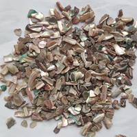 Copeaux de coquille d'ormeau naturels de haute qualité pour artisanat DIY, maison et jardin, résistants à l'eau, pour revêtements de sol en terrazzo aux couleurs variées